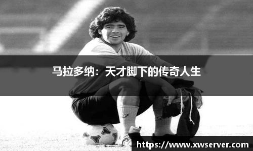 乐盈VI官网