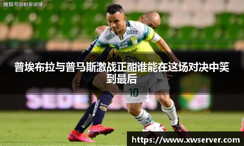乐盈VI官网