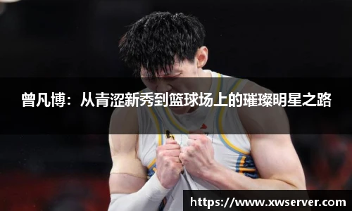 乐盈VI