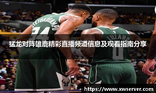 乐盈VI首页